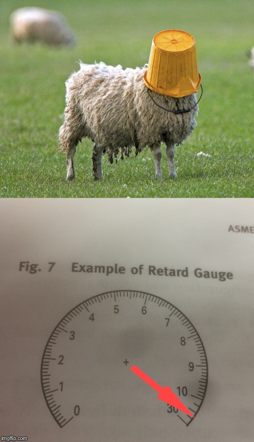 image tagged in stupid sheep,retard gauge | made w/ Imgflip meme maker