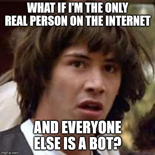 What if | WHAT IF I'M THE ONLY REAL PERSON ON THE INTERNET; AND EVERYONE ELSE IS A BOT? | image tagged in what if | made w/ Imgflip meme maker