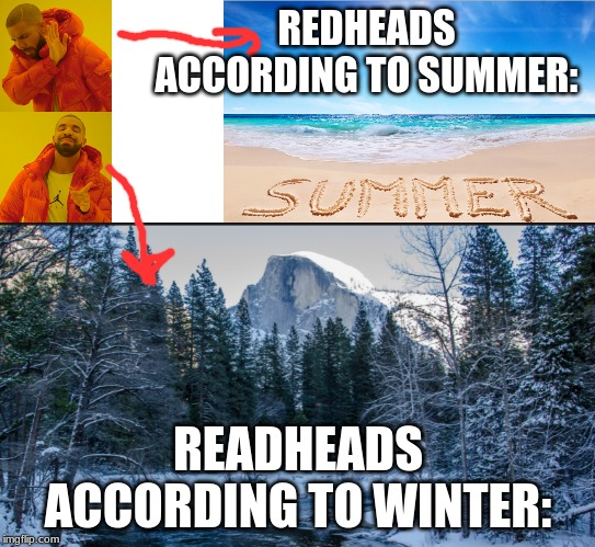 REDHEADS ACCORDING TO SUMMER:; READHEADS ACCORDING TO WINTER: | image tagged in memes,drake hotline bling | made w/ Imgflip meme maker