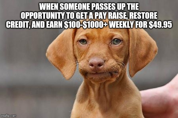 Dissapointed puppy | WHEN SOMEONE PASSES UP THE OPPORTUNITY TO GET A PAY RAISE, RESTORE CREDIT, AND EARN $100-$1000+ WEEKLY FOR $49.95 | image tagged in dissapointed puppy | made w/ Imgflip meme maker