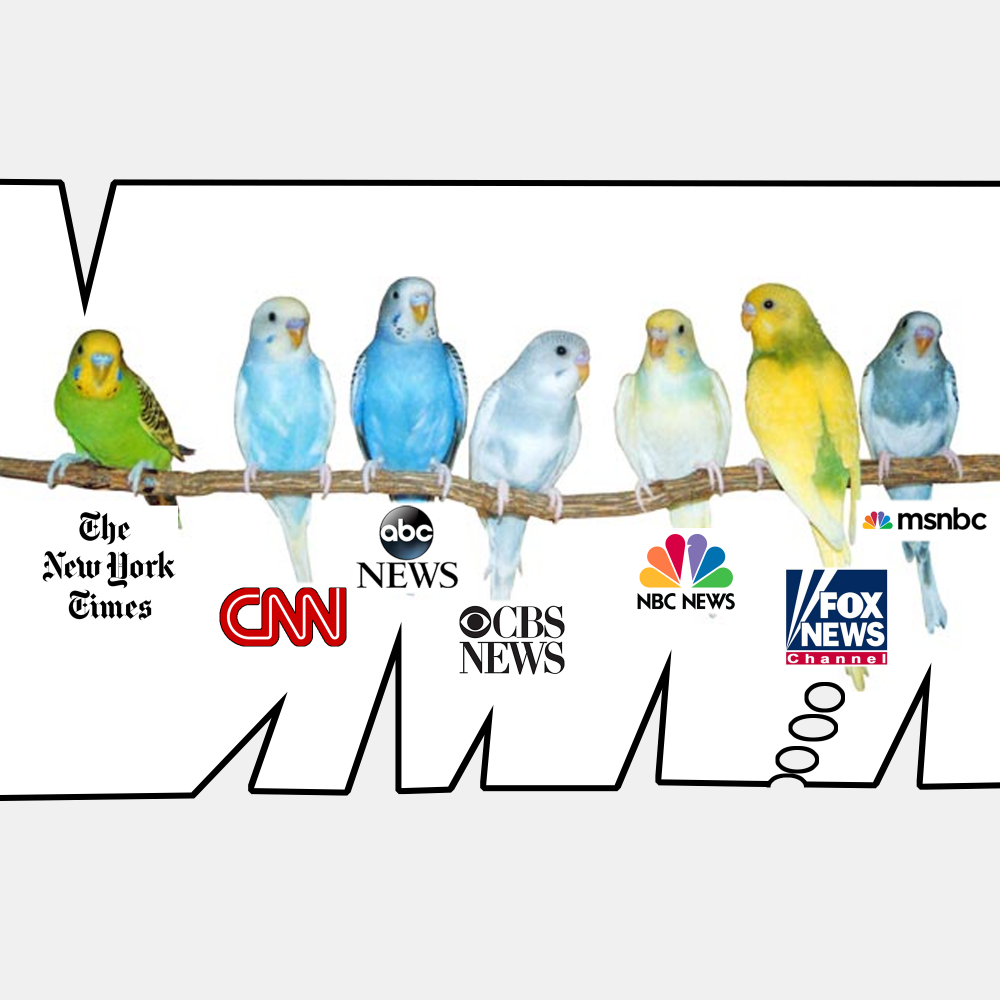 High Quality Parakeet MSM Blank Meme Template