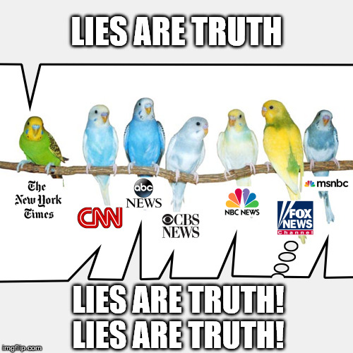 Parakeet MSM | LIES ARE TRUTH; LIES ARE TRUTH! LIES ARE TRUTH! | image tagged in parakeet msm,msm lies | made w/ Imgflip meme maker