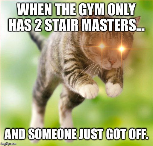 Pouncing Intensifies | WHEN THE GYM ONLY HAS 2 STAIR MASTERS... AND SOMEONE JUST GOT OFF. | image tagged in pouncing intensifies | made w/ Imgflip meme maker