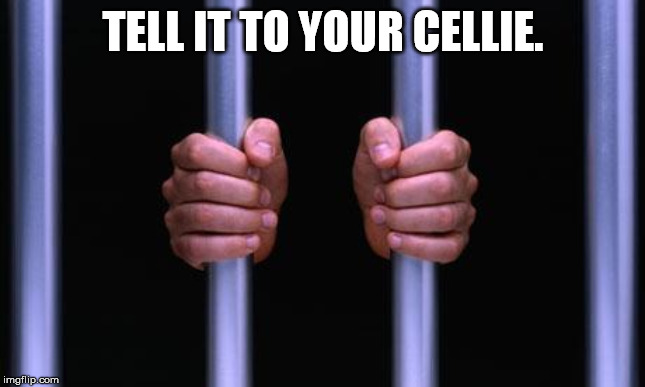 Prison Bars | TELL IT TO YOUR CELLIE. | image tagged in prison bars | made w/ Imgflip meme maker