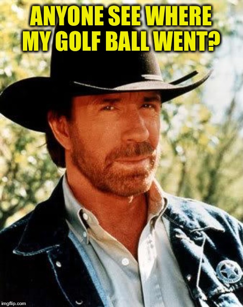 Chuck Norris Meme | ANYONE SEE WHERE MY GOLF BALL WENT? | image tagged in memes,chuck norris | made w/ Imgflip meme maker