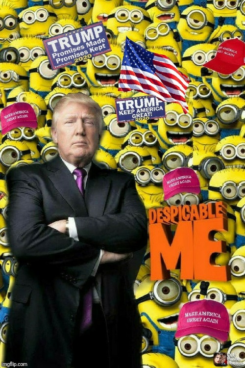 Despicable deplorable Trump supporters | image tagged in donald trump,despicable donald | made w/ Imgflip meme maker