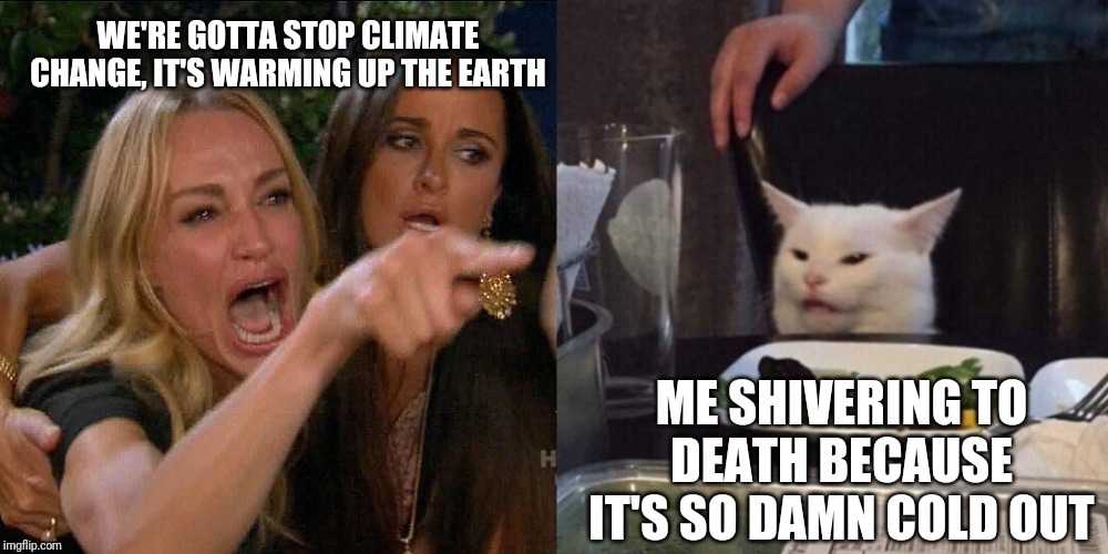 Woman yelling at cat | WE'RE GOTTA STOP CLIMATE CHANGE, IT'S WARMING UP THE EARTH; ME SHIVERING TO DEATH BECAUSE IT'S SO DAMN COLD OUT | image tagged in woman yelling at cat,memes | made w/ Imgflip meme maker