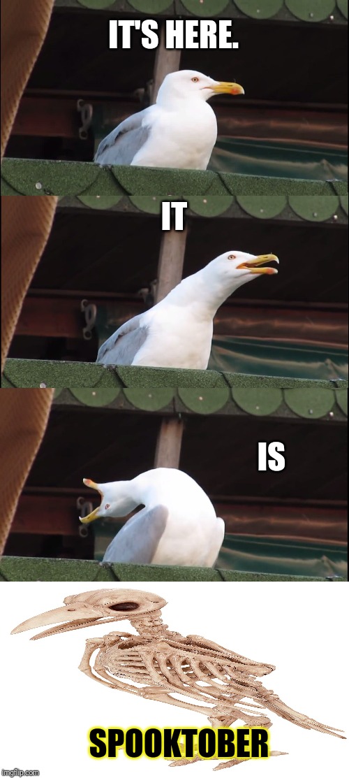 Inhaling Seagull | IT'S HERE. IT; IS; SPOOKTOBER | image tagged in memes,inhaling seagull | made w/ Imgflip meme maker