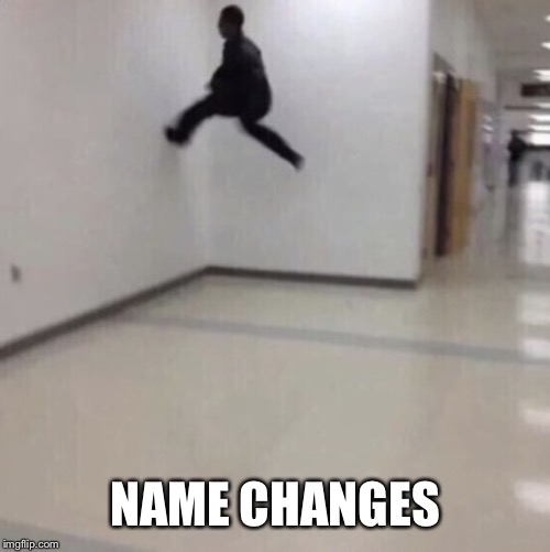 Wall walker | NAME CHANGES | image tagged in wall walker | made w/ Imgflip meme maker