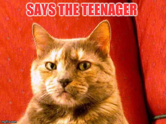 Suspicious Cat Meme | SAYS THE TEENAGER | image tagged in memes,suspicious cat | made w/ Imgflip meme maker