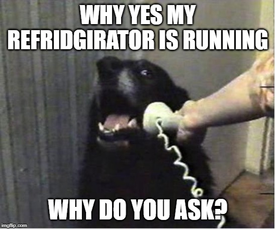 Yes this is dog | WHY YES MY REFRIDGIRATOR IS RUNNING; WHY DO YOU ASK? | image tagged in yes this is dog | made w/ Imgflip meme maker