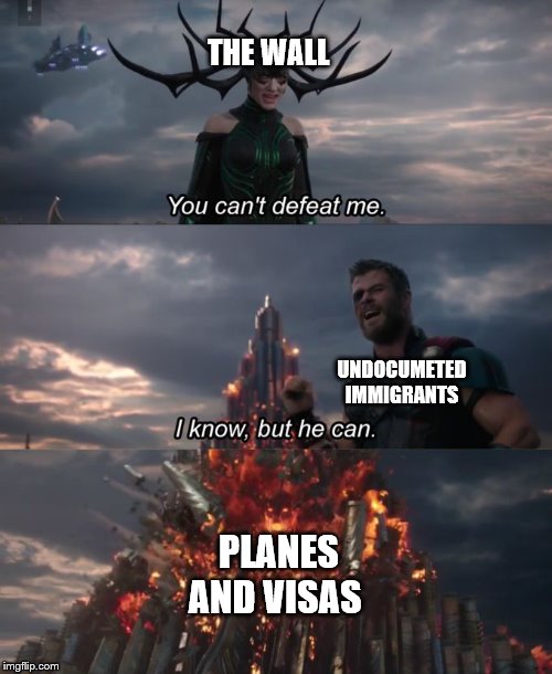 You can't defeat me | THE WALL UNDOCUMETED IMMIGRANTS PLANES AND VISAS | image tagged in you can't defeat me | made w/ Imgflip meme maker