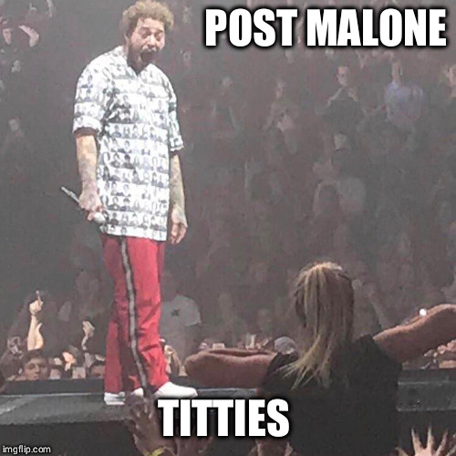 Post Malone happy | POST MALONE; TITTIES | image tagged in post malone happy | made w/ Imgflip meme maker