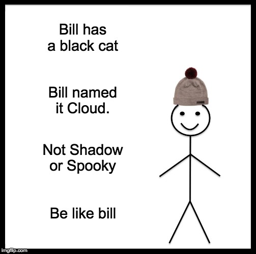 Name your black cat Snowy or gay XD | Bill has a black cat; Bill named it Cloud. Not Shadow or Spooky; Be like bill | image tagged in memes,be like bill | made w/ Imgflip meme maker