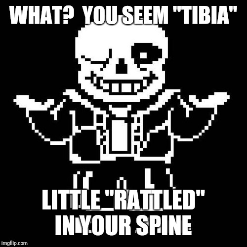 sans undertale | WHAT?  YOU SEEM "TIBIA" LITTLE "RATTLED" IN YOUR SPINE | image tagged in sans undertale | made w/ Imgflip meme maker