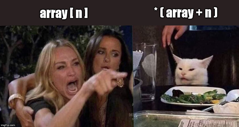 Programmer yelling at pointer | * ( array + n ); array [ n ] | image tagged in woman yelling at cat,ProgrammerHumor | made w/ Imgflip meme maker