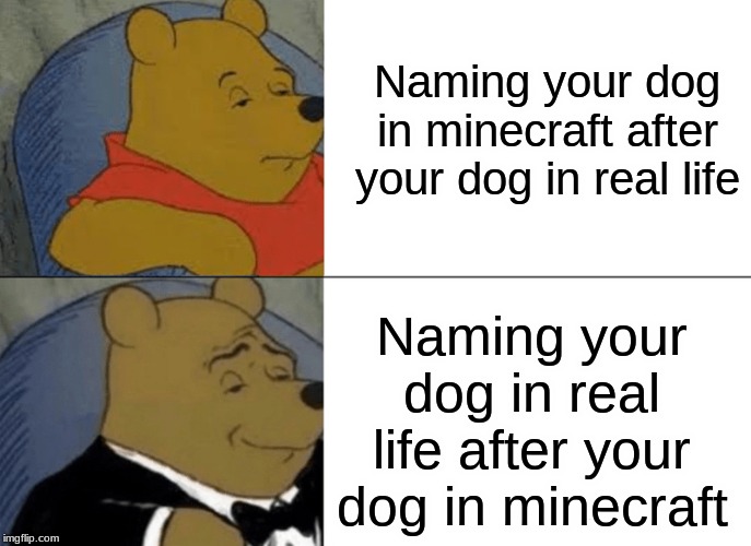 Tuxedo Winnie The Pooh | Naming your dog in minecraft after your dog in real life; Naming your dog in real life after your dog in minecraft | image tagged in memes,tuxedo winnie the pooh | made w/ Imgflip meme maker