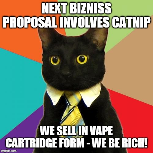 VAPING KITTY IS WEALTHY/SUCCESSFUL BUSINESSMAN KITTY | NEXT BIZNISS PROPOSAL INVOLVES CATNIP; WE SELL IN VAPE CARTRIDGE FORM - WE BE RICH! | image tagged in memes,business cat,kitty,vaping,vape nation,rich | made w/ Imgflip meme maker