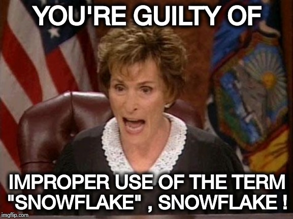 Judge Judy | YOU'RE GUILTY OF IMPROPER USE OF THE TERM "SNOWFLAKE" , SNOWFLAKE ! | image tagged in judge judy | made w/ Imgflip meme maker