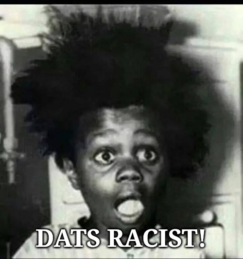 buckwheat shocked | DATS RACIST! | image tagged in buckwheat shocked | made w/ Imgflip meme maker