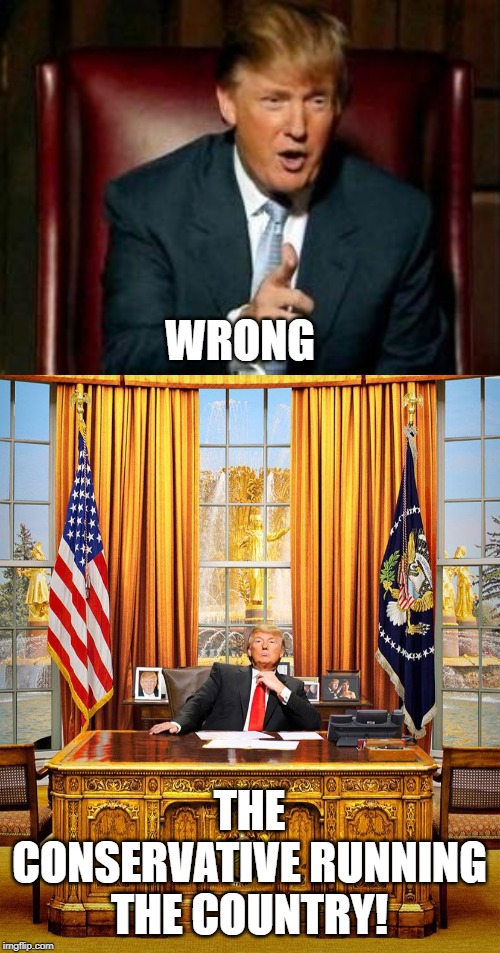 WRONG THE CONSERVATIVE RUNNING THE COUNTRY! | image tagged in donald trump,trump oval office | made w/ Imgflip meme maker