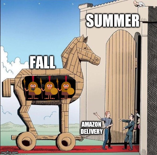 Trojan Horse | SUMMER; FALL; AMAZON DELIVERY | image tagged in trojan horse | made w/ Imgflip meme maker