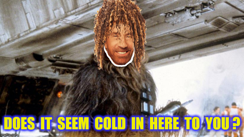 DOES  IT  SEEM  COLD  IN  HERE  TO  YOU ? | made w/ Imgflip meme maker