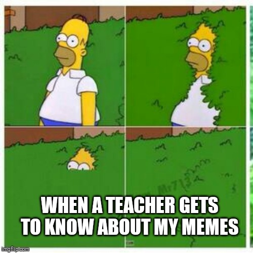 Homer hides |  WHEN A TEACHER GETS TO KNOW ABOUT MY MEMES | image tagged in homer hides | made w/ Imgflip meme maker