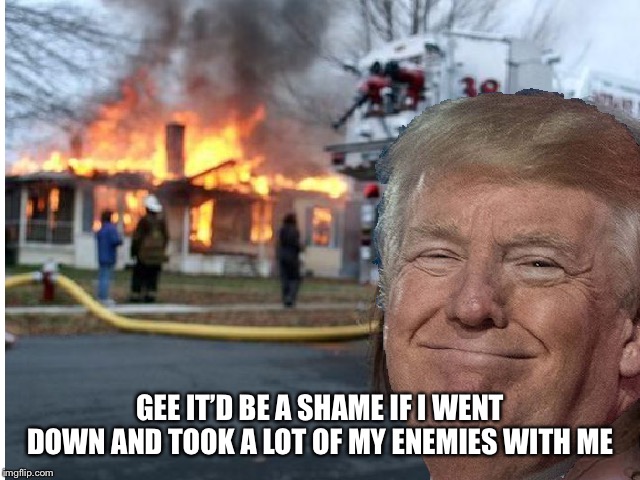 Trump | GEE IT’D BE A SHAME IF I WENT DOWN AND TOOK A LOT OF MY ENEMIES WITH ME | image tagged in trump | made w/ Imgflip meme maker