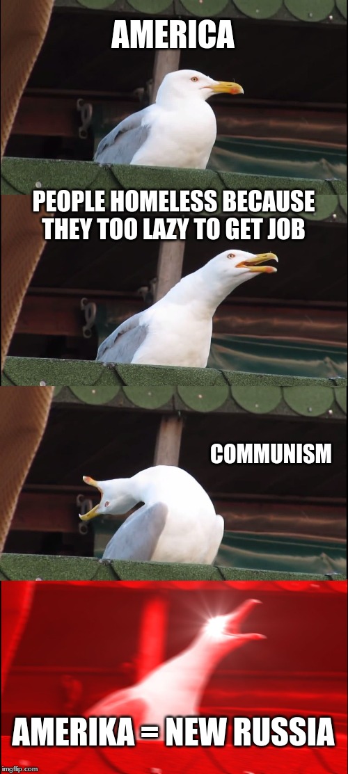 Inhaling Seagull | AMERICA; PEOPLE HOMELESS BECAUSE THEY TOO LAZY TO GET JOB; COMMUNISM; AMERIKA = NEW RUSSIA | image tagged in memes,inhaling seagull | made w/ Imgflip meme maker