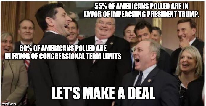 Let's Make a Deal | 55% OF AMERICANS POLLED ARE IN FAVOR OF IMPEACHING PRESIDENT TRUMP. 80% OF AMERICANS POLLED ARE IN FAVOR OF CONGRESSIONAL TERM LIMITS; LET'S MAKE A DEAL | image tagged in congress,impeachment,term limits | made w/ Imgflip meme maker