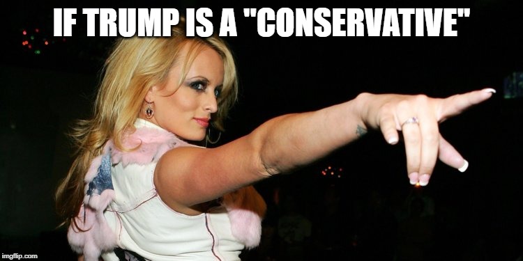Stormy Daniels | IF TRUMP IS A "CONSERVATIVE" | image tagged in stormy daniels | made w/ Imgflip meme maker