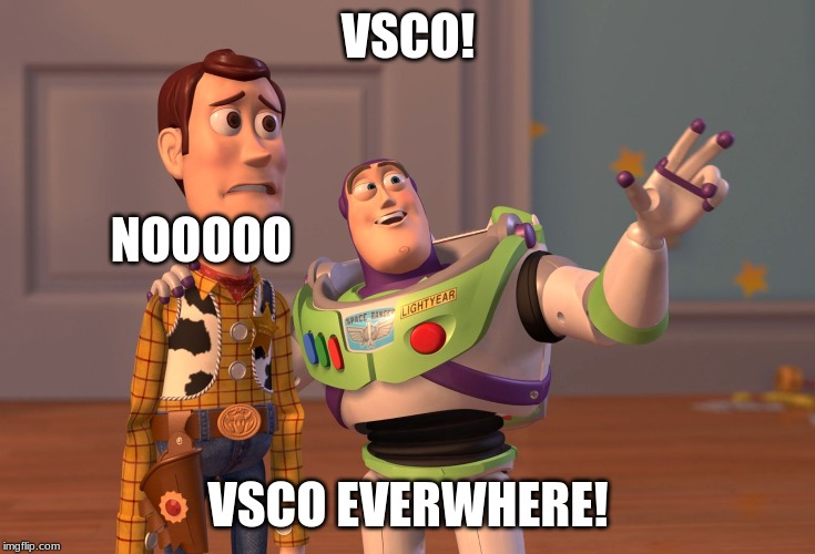 More sad truth from my school | VSCO! NOOOOO; VSCO EVERWHERE! | image tagged in memes,x x everywhere,vsco,kill turtles | made w/ Imgflip meme maker