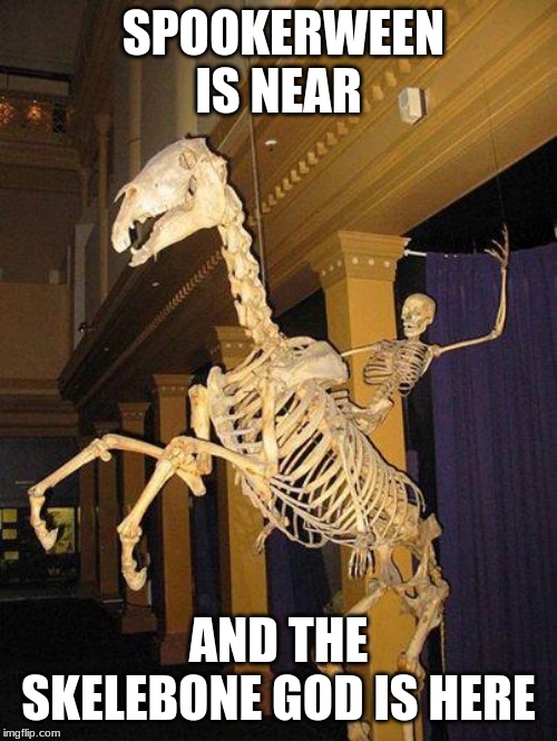 spooky horse and rider skeleton | SPOOKERWEEN IS NEAR; AND THE SKELEBONE GOD IS HERE | image tagged in spooky horse and rider skeleton | made w/ Imgflip meme maker