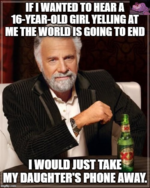 I will not be intimidated by a child who has no idea what she is talking about. | IF I WANTED TO HEAR A 16-YEAR-OLD GIRL YELLING AT ME THE WORLD IS GOING TO END; I WOULD JUST TAKE MY DAUGHTER'S PHONE AWAY. | image tagged in memes,the most interesting man in the world | made w/ Imgflip meme maker