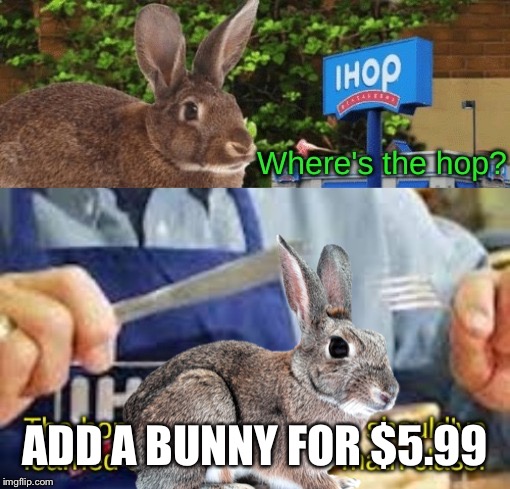 ADD A BUNNY FOR $5.99 | made w/ Imgflip meme maker