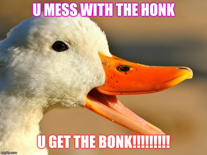 honk the bonk | U MESS WITH THE HONK; U GET THE BONK!!!!!!!!! | image tagged in ducks | made w/ Imgflip meme maker