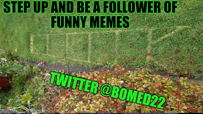 Step Up
Twitter @BOMED22 | STEP UP AND BE A FOLLOWER OF
FUNNY MEMES; TWITTER @BOMED22 | image tagged in the most interesting man in the world,twitter,waiting skeleton | made w/ Imgflip meme maker