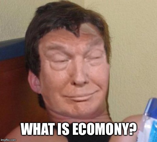 10-trump | WHAT IS ECOMONY? | image tagged in 10-trump | made w/ Imgflip meme maker