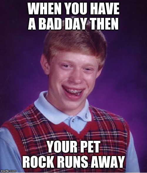 Bad Luck Brian Meme | WHEN YOU HAVE A BAD DAY THEN; YOUR PET ROCK RUNS AWAY | image tagged in memes,bad luck brian | made w/ Imgflip meme maker