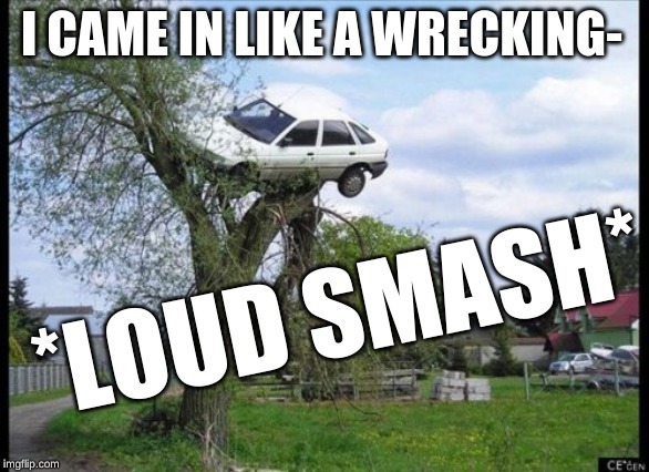 I Came In Like A....... car...... | I CAME IN LIKE A WRECKING-; *LOUD SMASH* | image tagged in memes,secure parking,funny | made w/ Imgflip meme maker