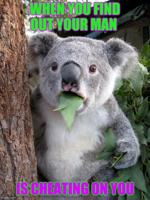 Surprised Koala | WHEN YOU FIND OUT YOUR MAN; IS CHEATING ON YOU | image tagged in memes,surprised koala | made w/ Imgflip meme maker