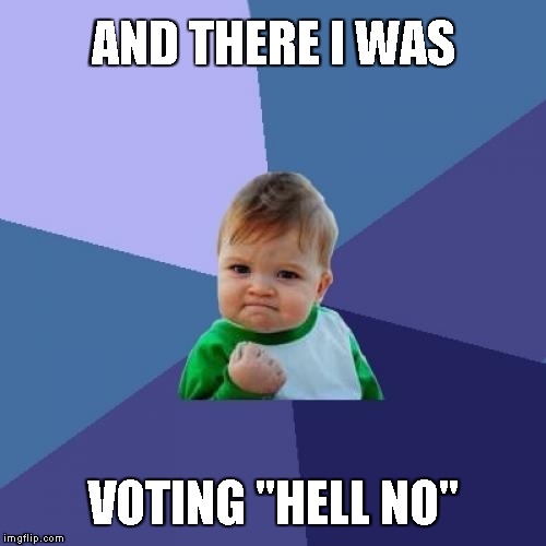 Success Kid Meme | AND THERE I WAS VOTING "HELL NO" | image tagged in memes,success kid | made w/ Imgflip meme maker