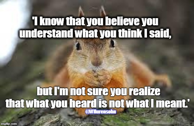 sara squirrel  | 'I know that you believe you understand what you think I said, but I'm not sure you realize that what you heard is not what I meant.'; @WHurensohn | image tagged in sara squirrel | made w/ Imgflip meme maker