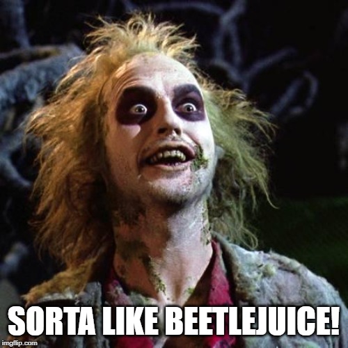 Beetlejuice | SORTA LIKE BEETLEJUICE! | image tagged in beetlejuice | made w/ Imgflip meme maker