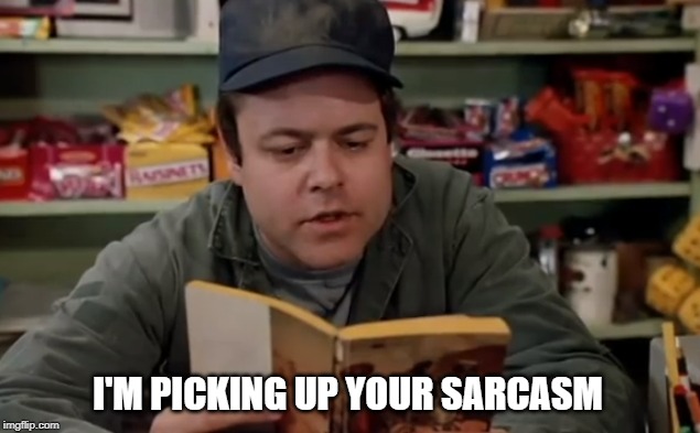 picking up your sarcasm | I'M PICKING UP YOUR SARCASM | image tagged in fun,sarcasm | made w/ Imgflip meme maker