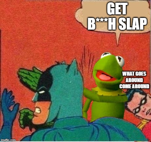 Kermit saving Robin | GET B***H SLAP; WHAT GOES AROUND COME AROUND | image tagged in kermit saving robin | made w/ Imgflip meme maker