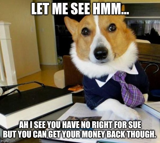 Lawyer Corgi Dog | LET ME SEE HMM... AH I SEE YOU HAVE NO RIGHT FOR SUE BUT YOU CAN GET YOUR MONEY BACK THOUGH. | image tagged in lawyer corgi dog | made w/ Imgflip meme maker