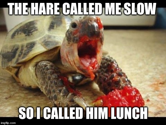 Chomp | THE HARE CALLED ME SLOW; SO I CALLED HIM LUNCH | image tagged in funny memes,true story | made w/ Imgflip meme maker