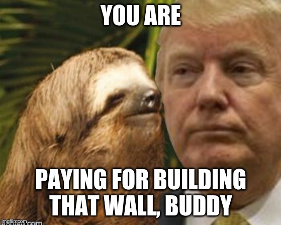 Political advice sloth | YOU ARE; PAYING FOR BUILDING THAT WALL, BUDDY | image tagged in political advice sloth | made w/ Imgflip meme maker